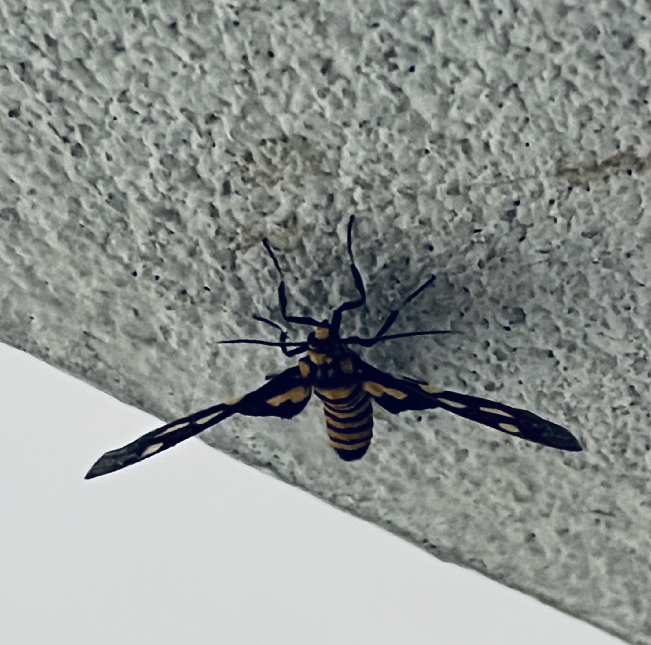 DF18178B-BEDC-4070-ABF5-9741036F55D2.jpeg