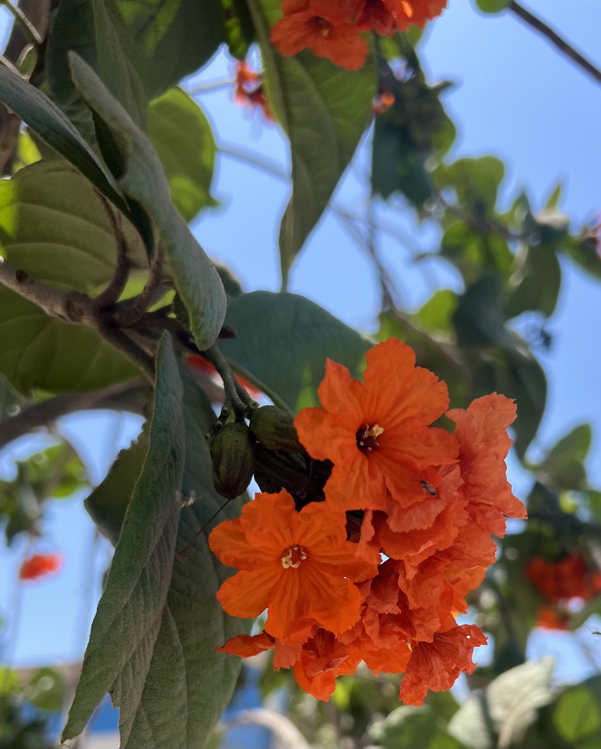 IMG_9031.jpeg