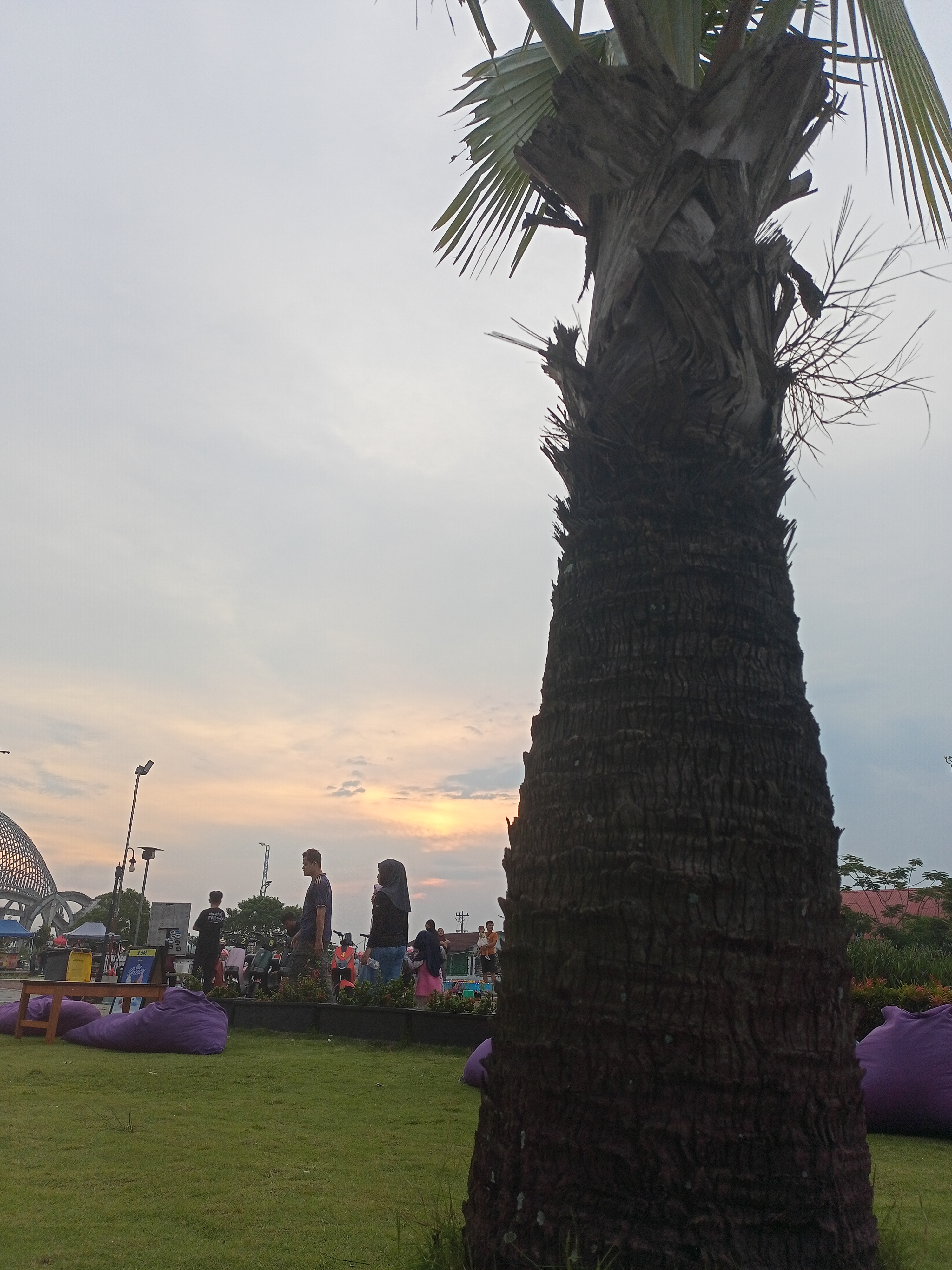 IMG20250531170503.jpg