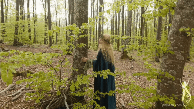 gif heart forest (2).gif
