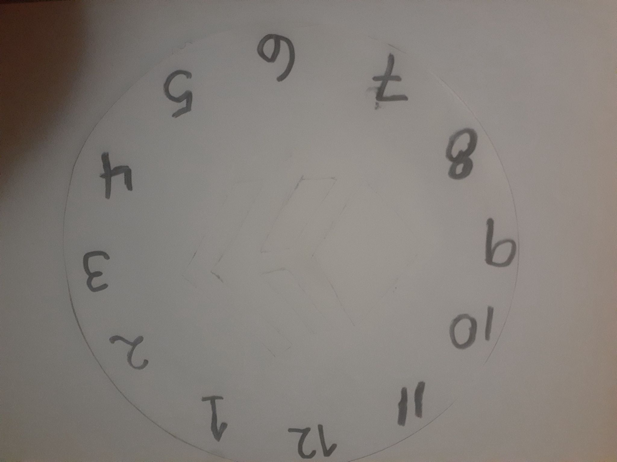 181055778_1520938981444002_7485237933304243811_n.jpg