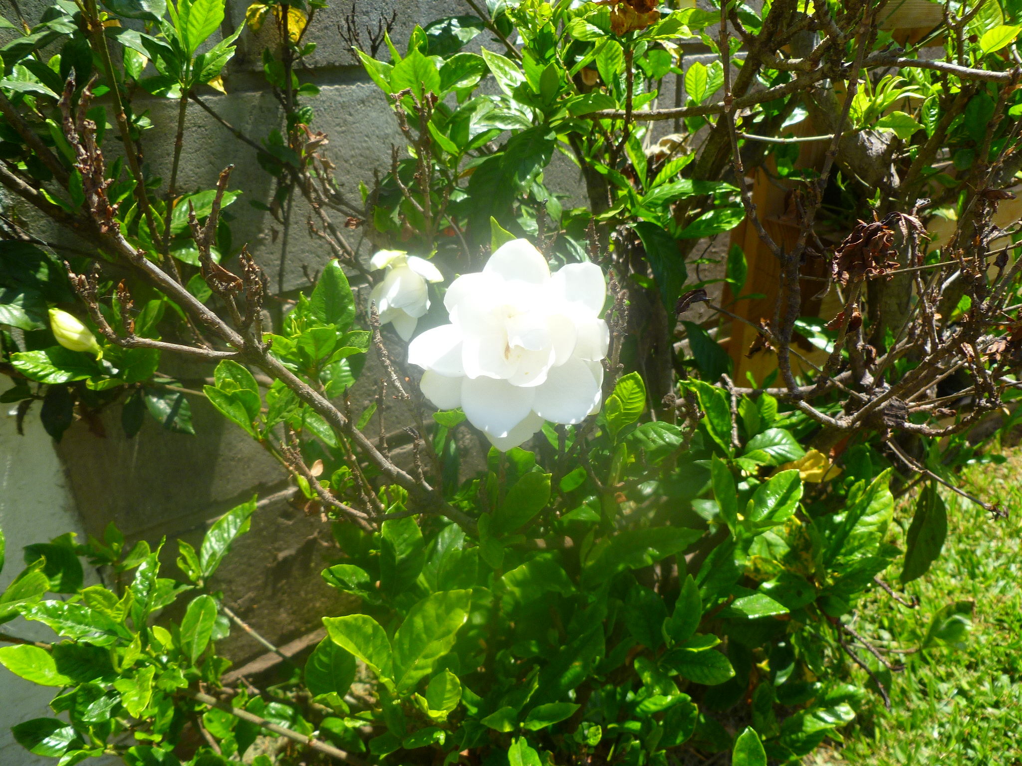 P1080358.JPG