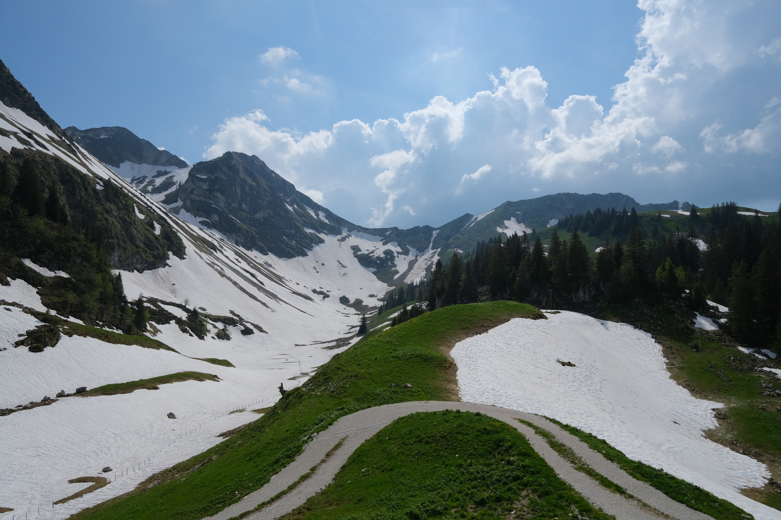  "Hike 2021-06-11 'Breccaschlund-Panoramaweg' (267) - 00022 - 1600W.jpg"