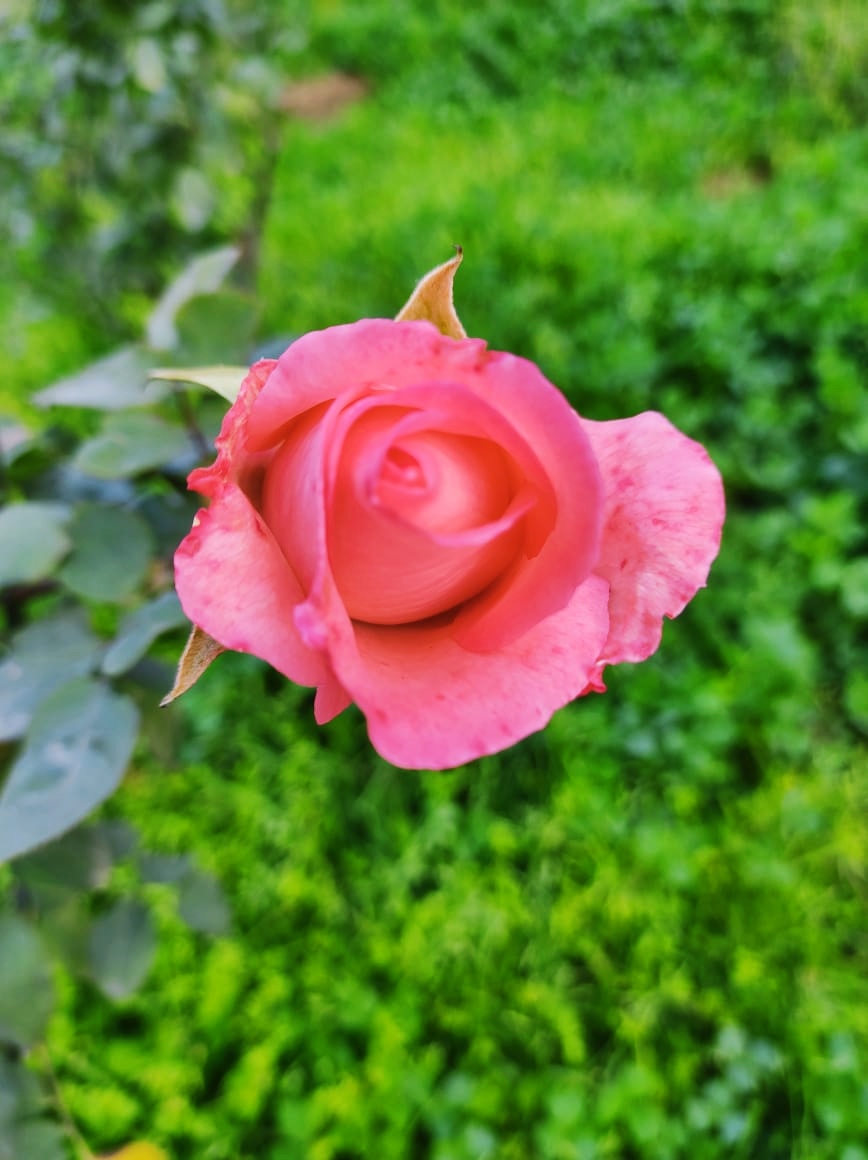 IMG_20250420_150157.jpg