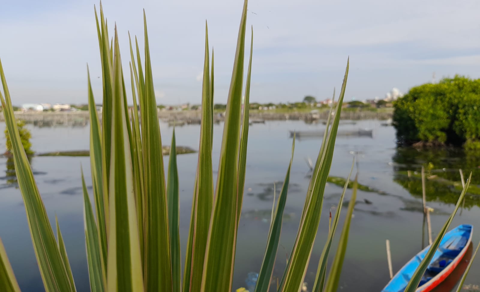 waduk4.jpg