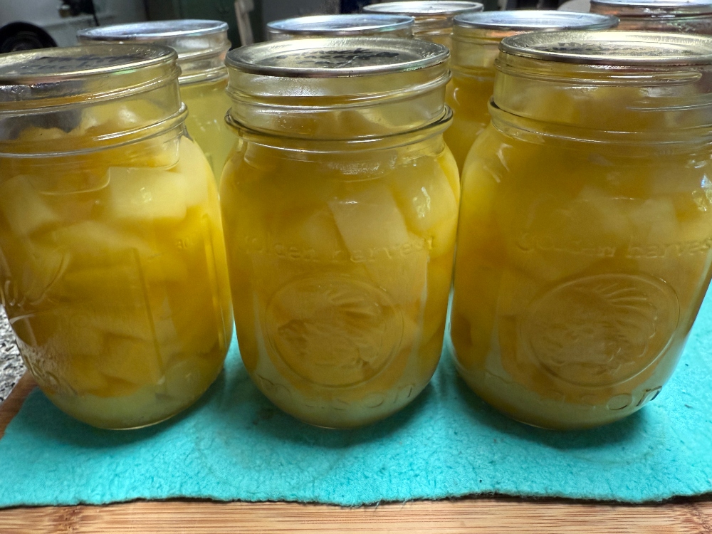 foodiesbeehive-mock-pineapple.jpg