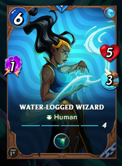 WaterLogged Wizard.png