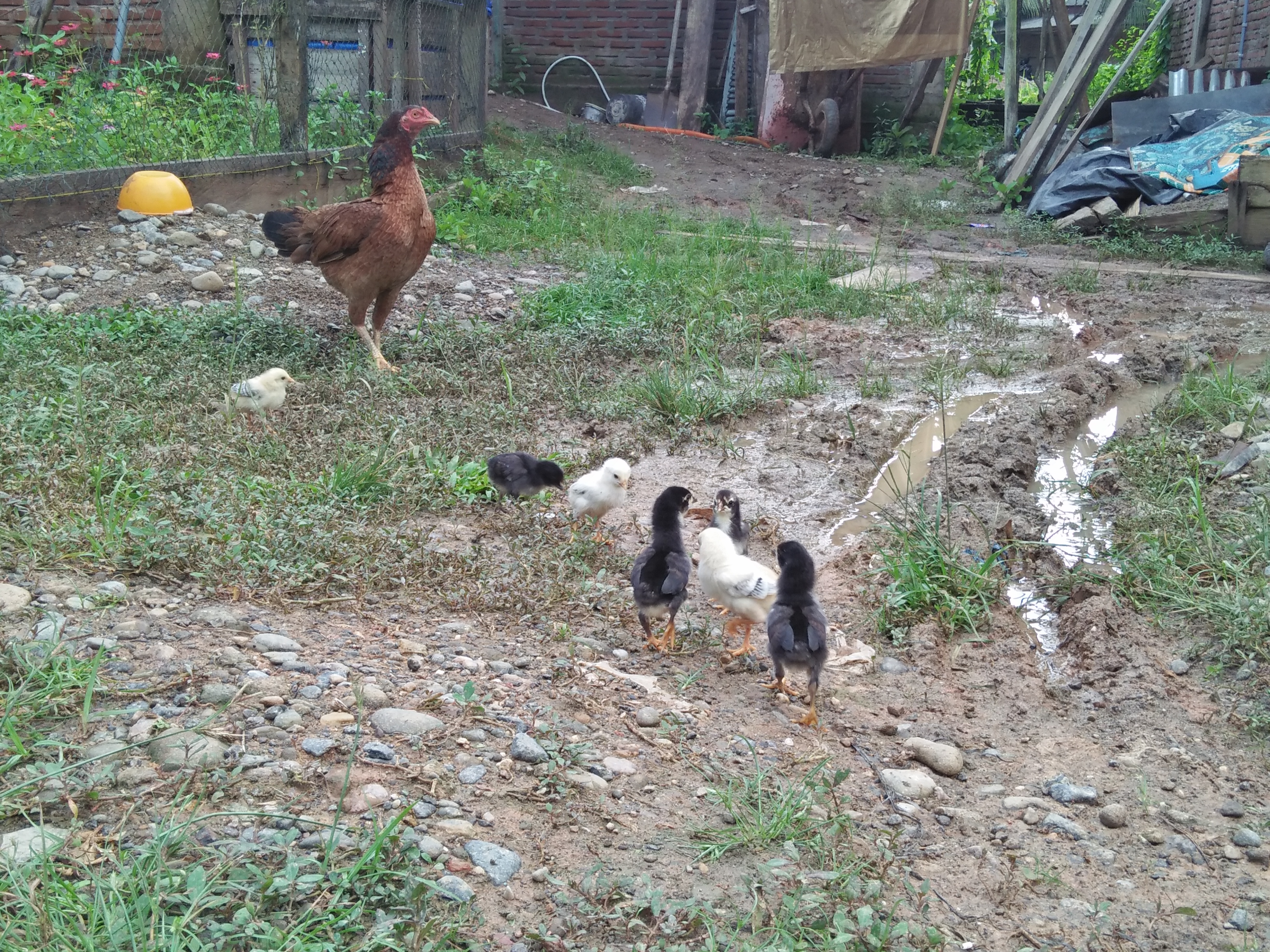 IMG20220106170906.jpg