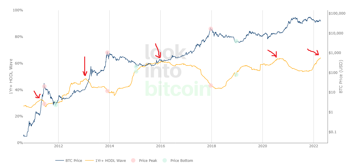 look_into_bitcoin.png