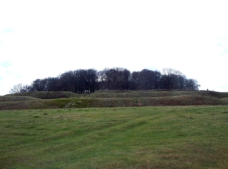 800px-Badbury_Rings_-_view_from_the_northeast_-_April_2013.jpg
