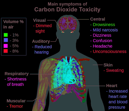 hypercapnia2.png