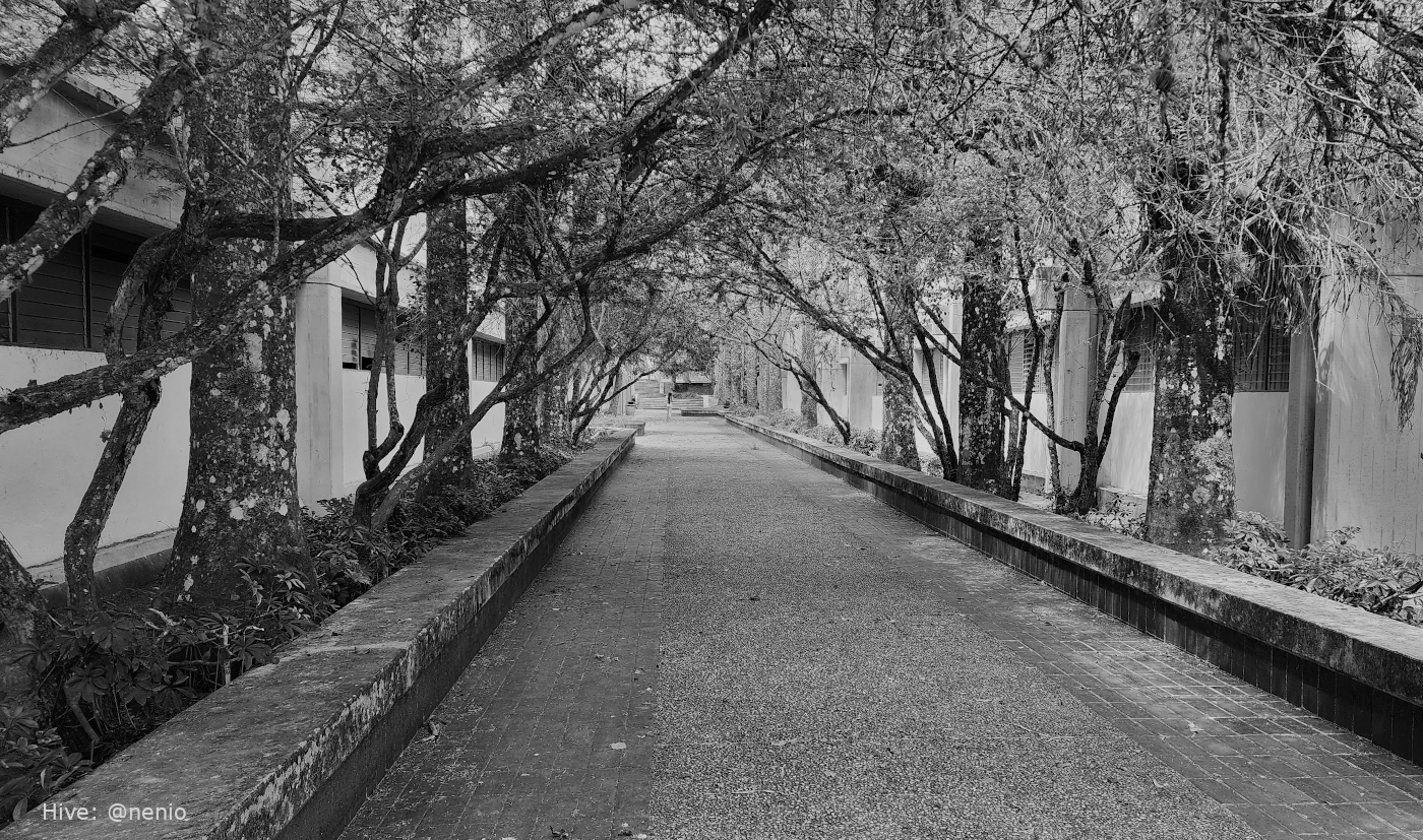 tunnel-efffect-001-bw.jpg