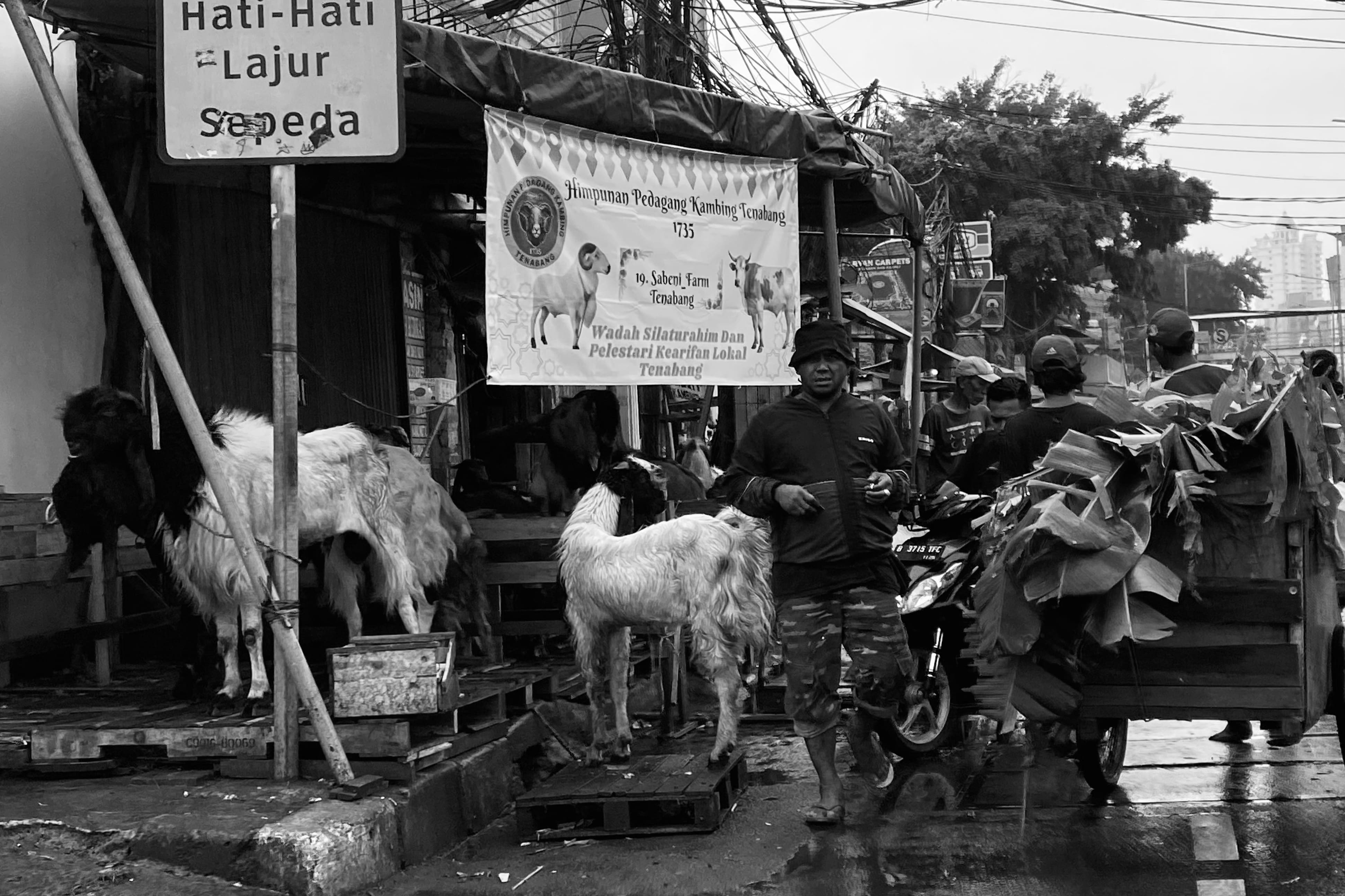 image00011-01-min.jpeg