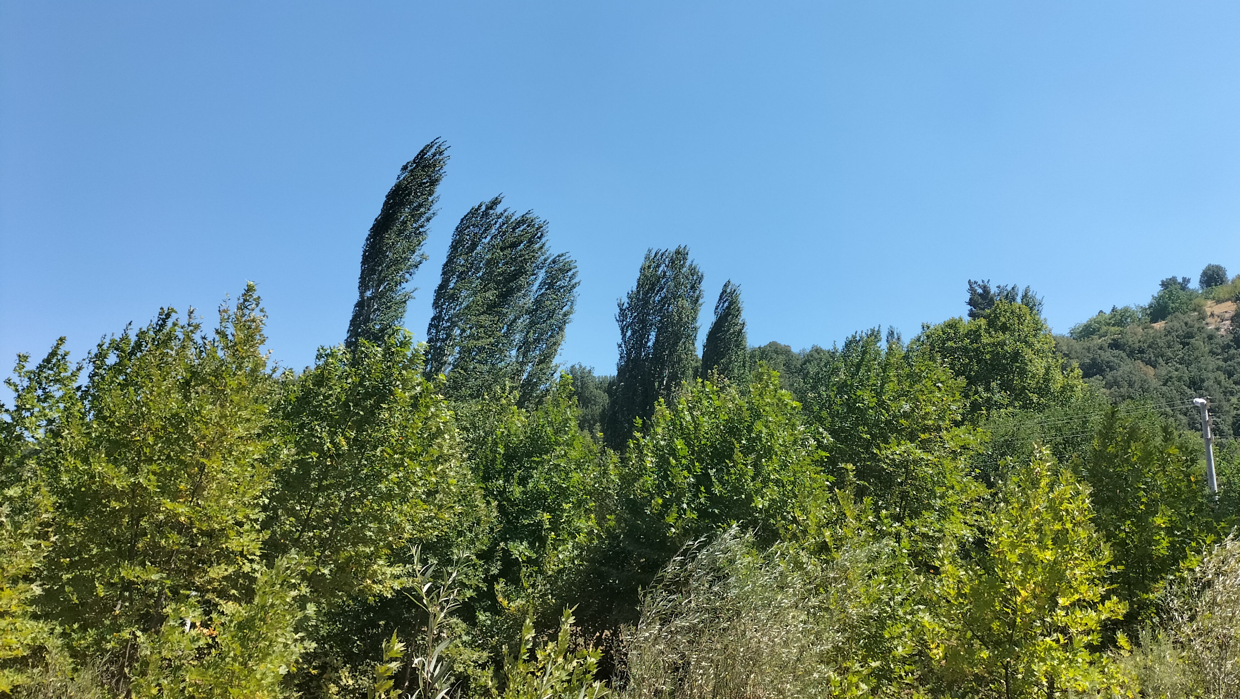 IMG20250831131345.jpg