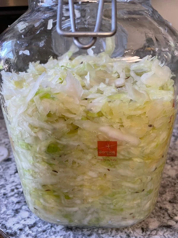 fermenting-cabbage-a.jpg