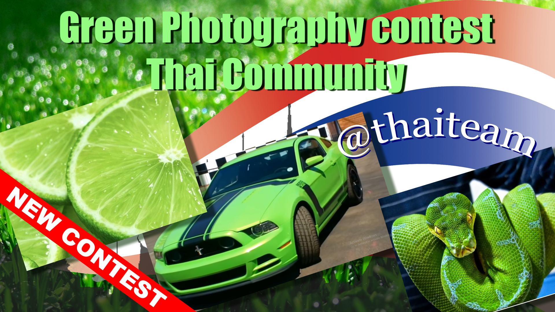 Green Photography 2.png