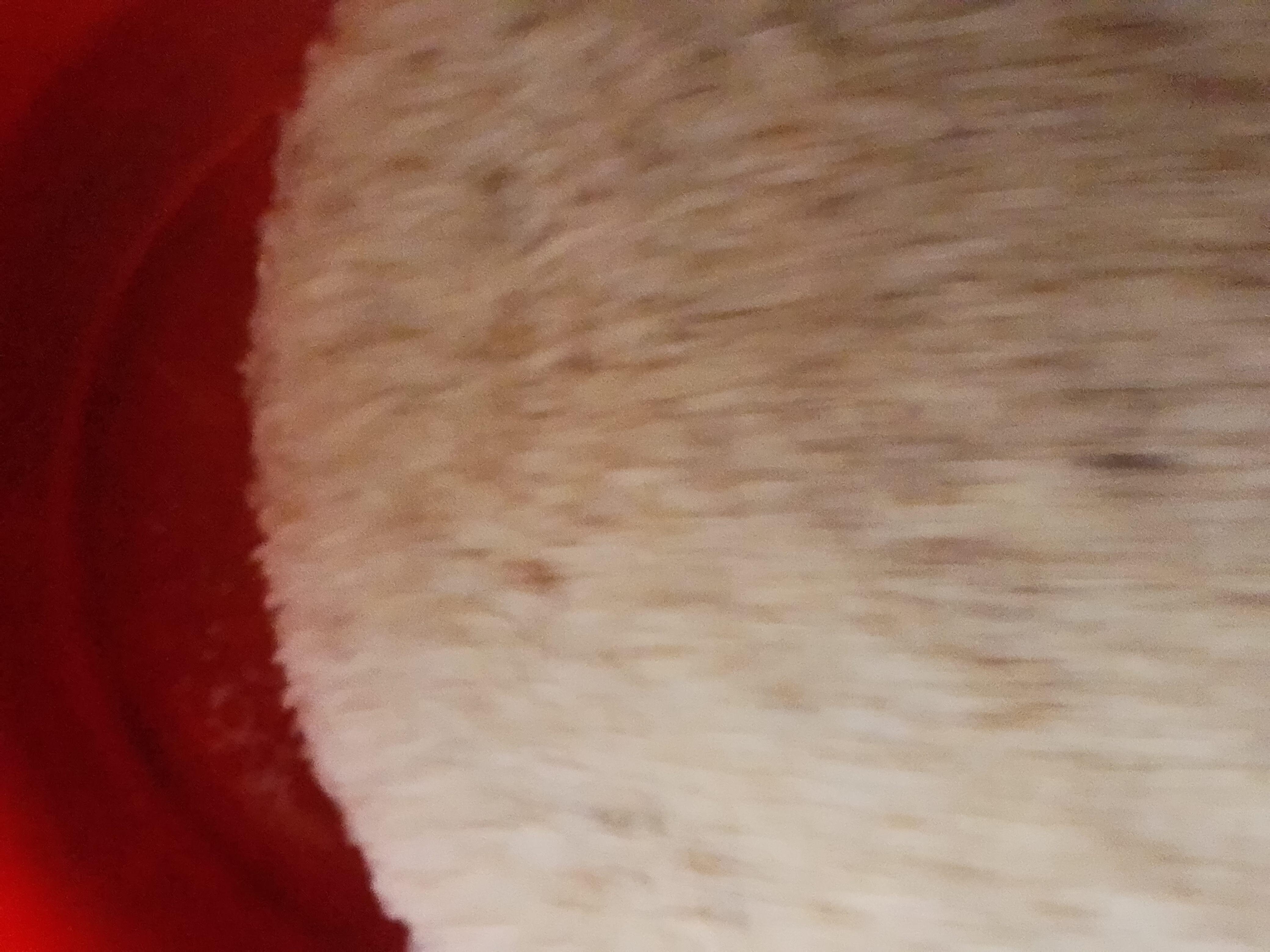 1000218139.jpg