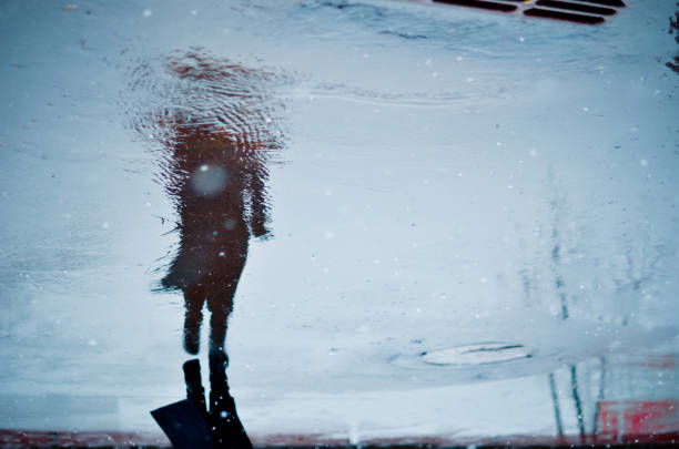 istockphoto-1222859600-612x612.jpg