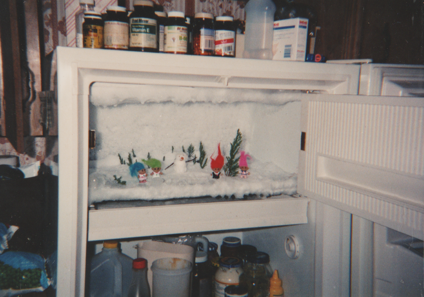 1995 maybe - Trolls in the Freezer 01.png