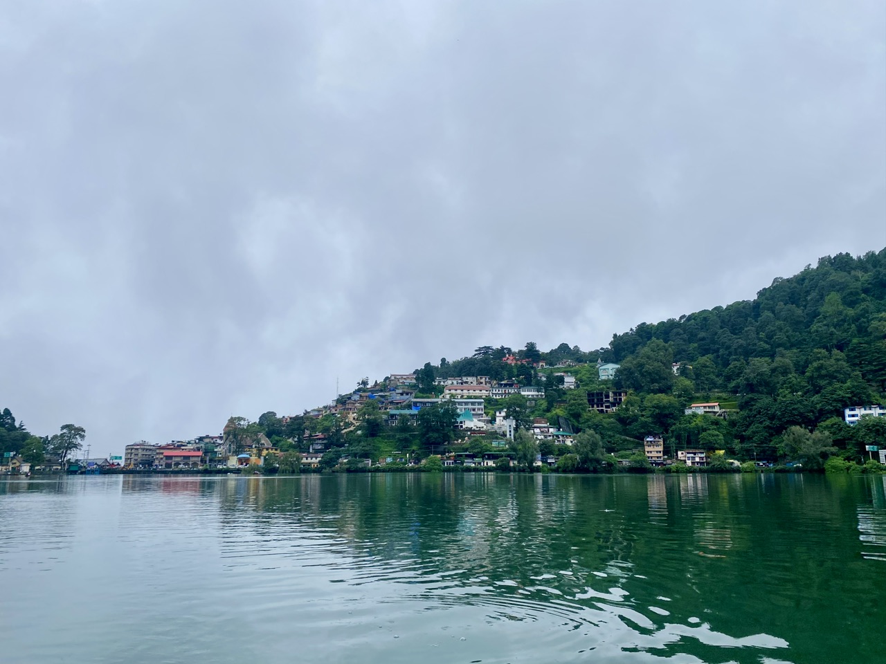 IMG_0991.jpeg