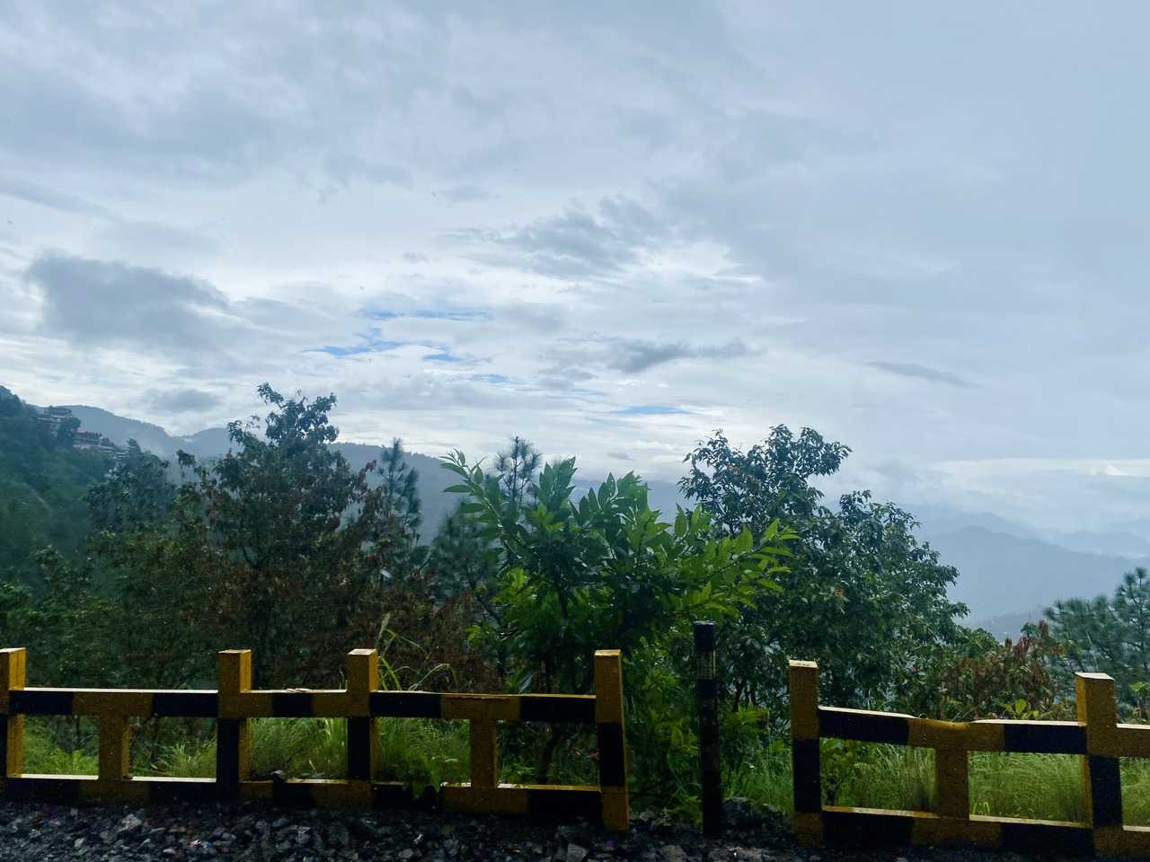 IMG_0708.jpeg