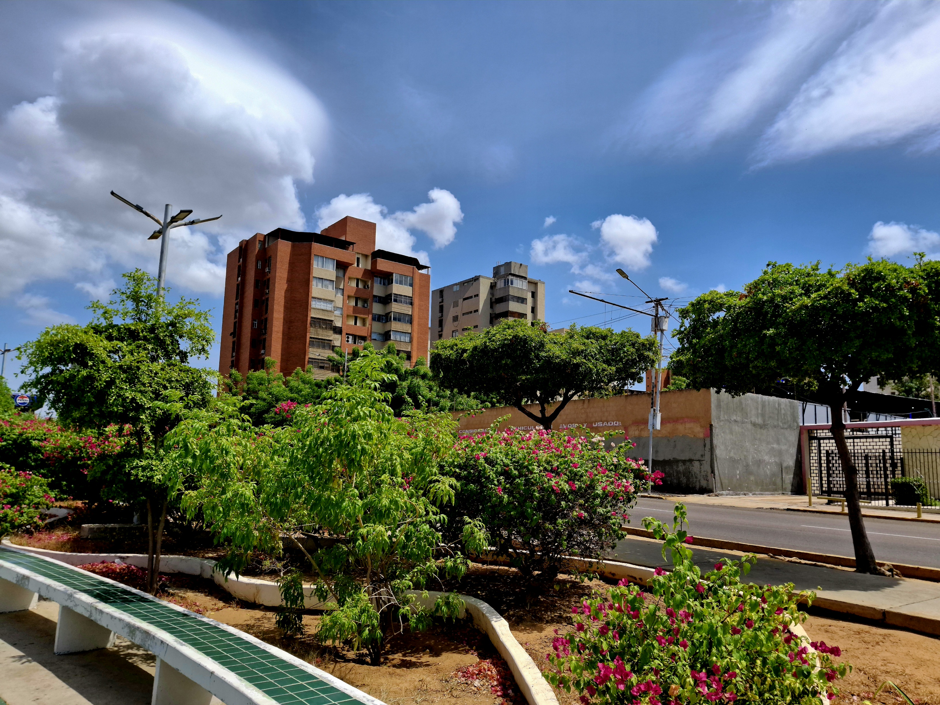 20250726_111413.jpg