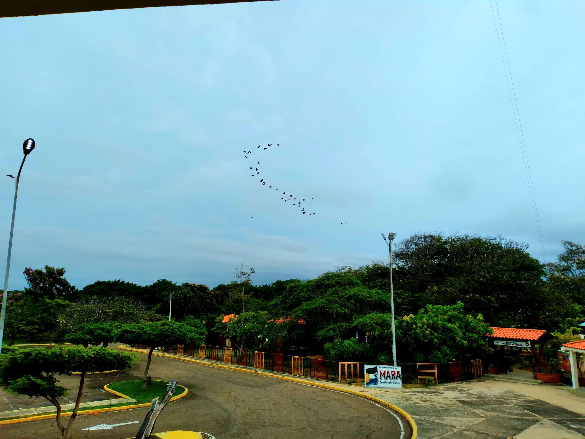 20250426_100827.jpg