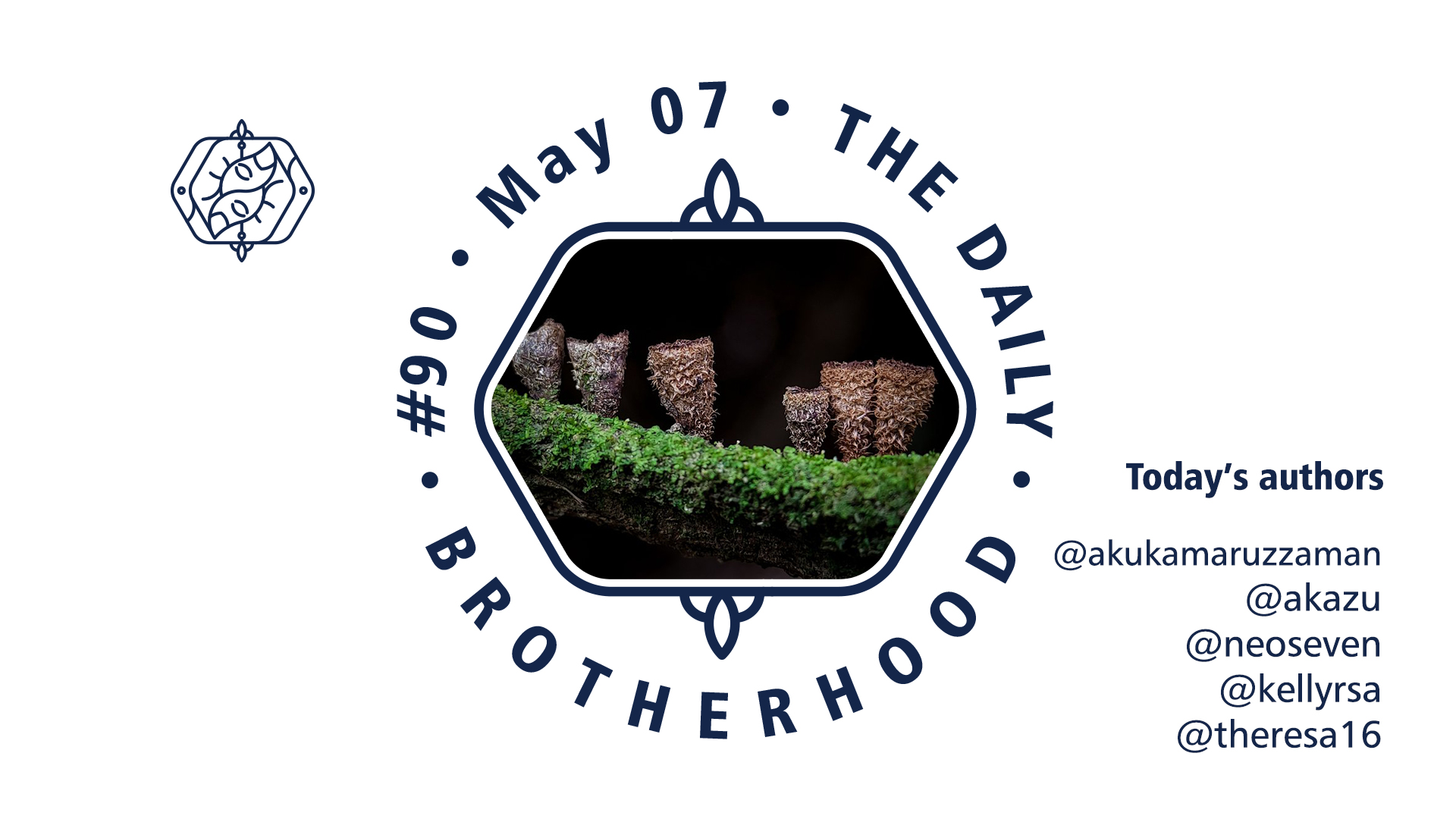 logo_brotherhood_08_90.jpg