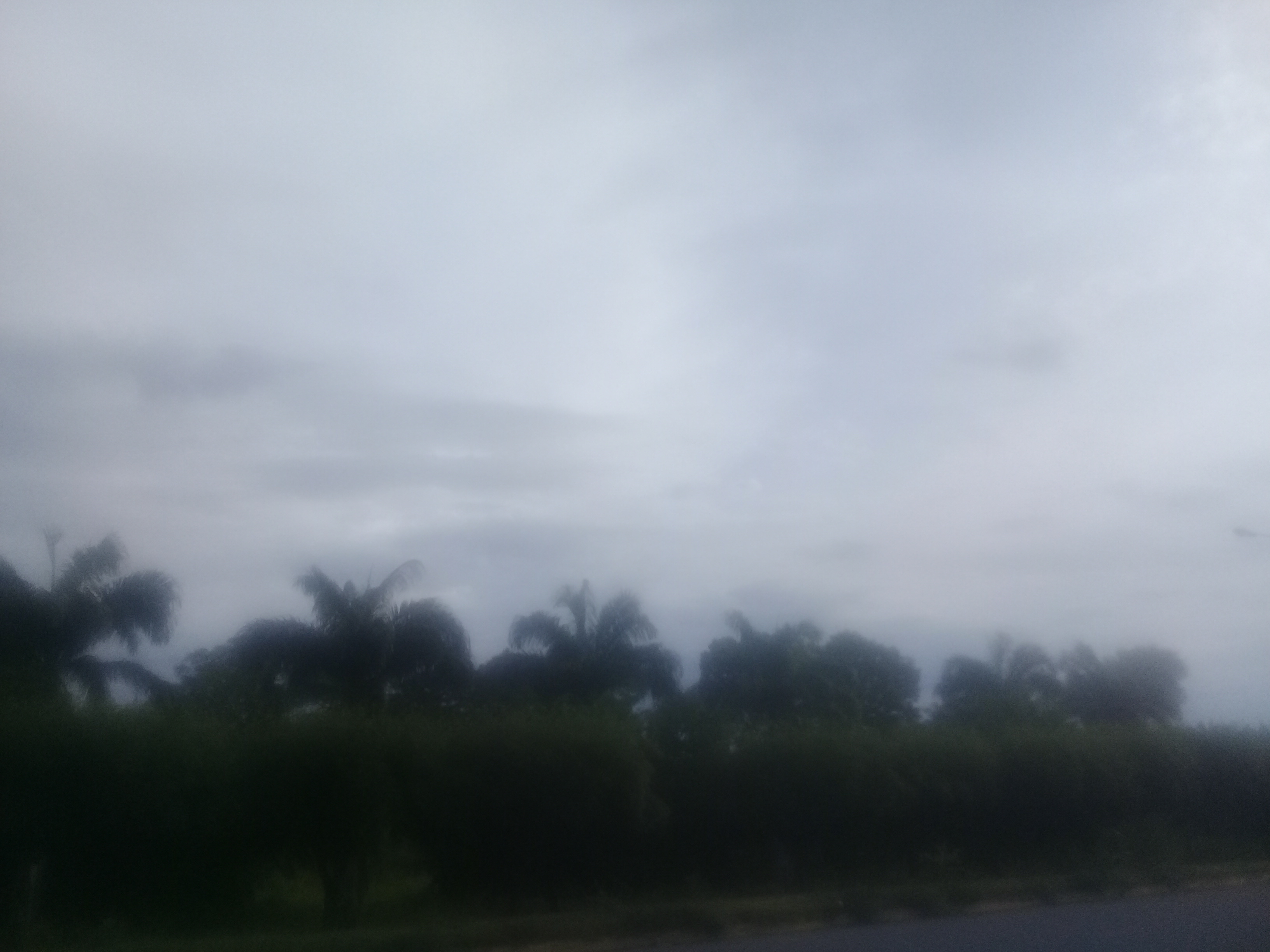20221012_173224.jpg