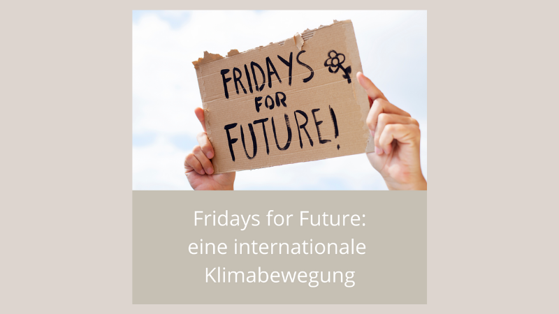Fridays for Future - eine internationale Klimabewegung Web.png