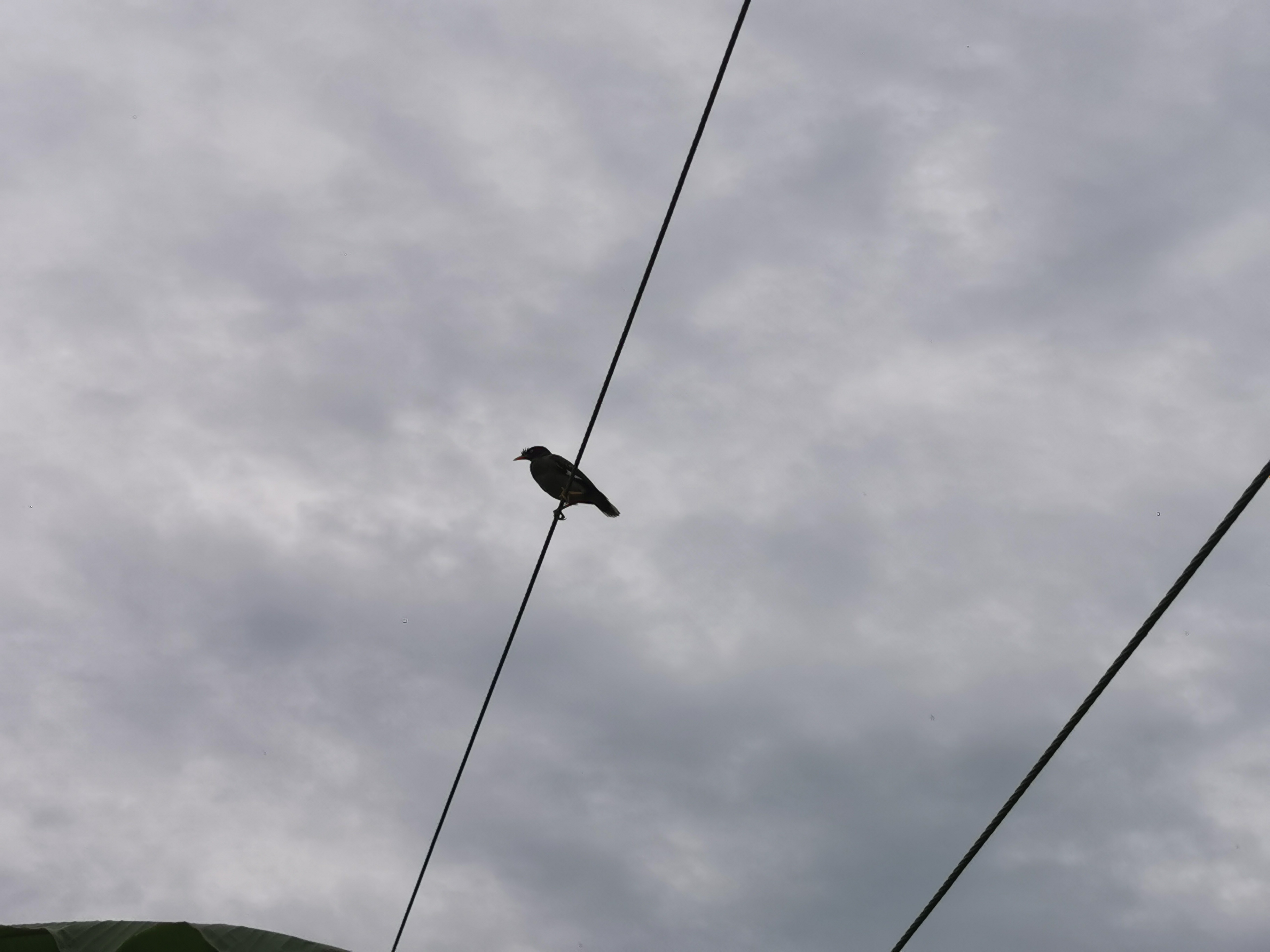 IMG_20250817_081713.jpg