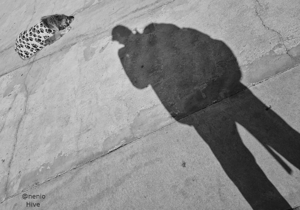 shadow-and-dog-002-bw.jpg