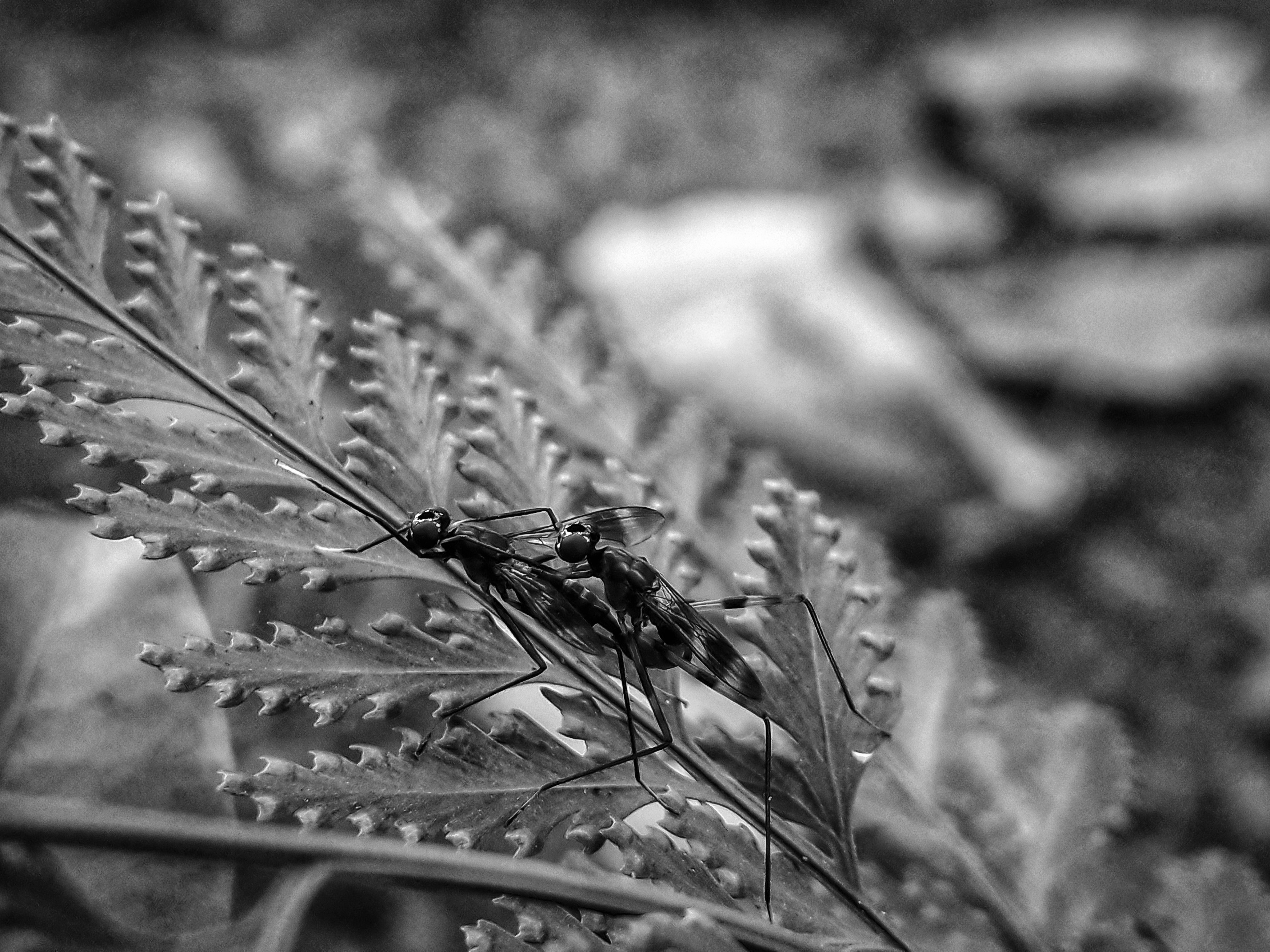 20220417_175233(0)-01.jpg