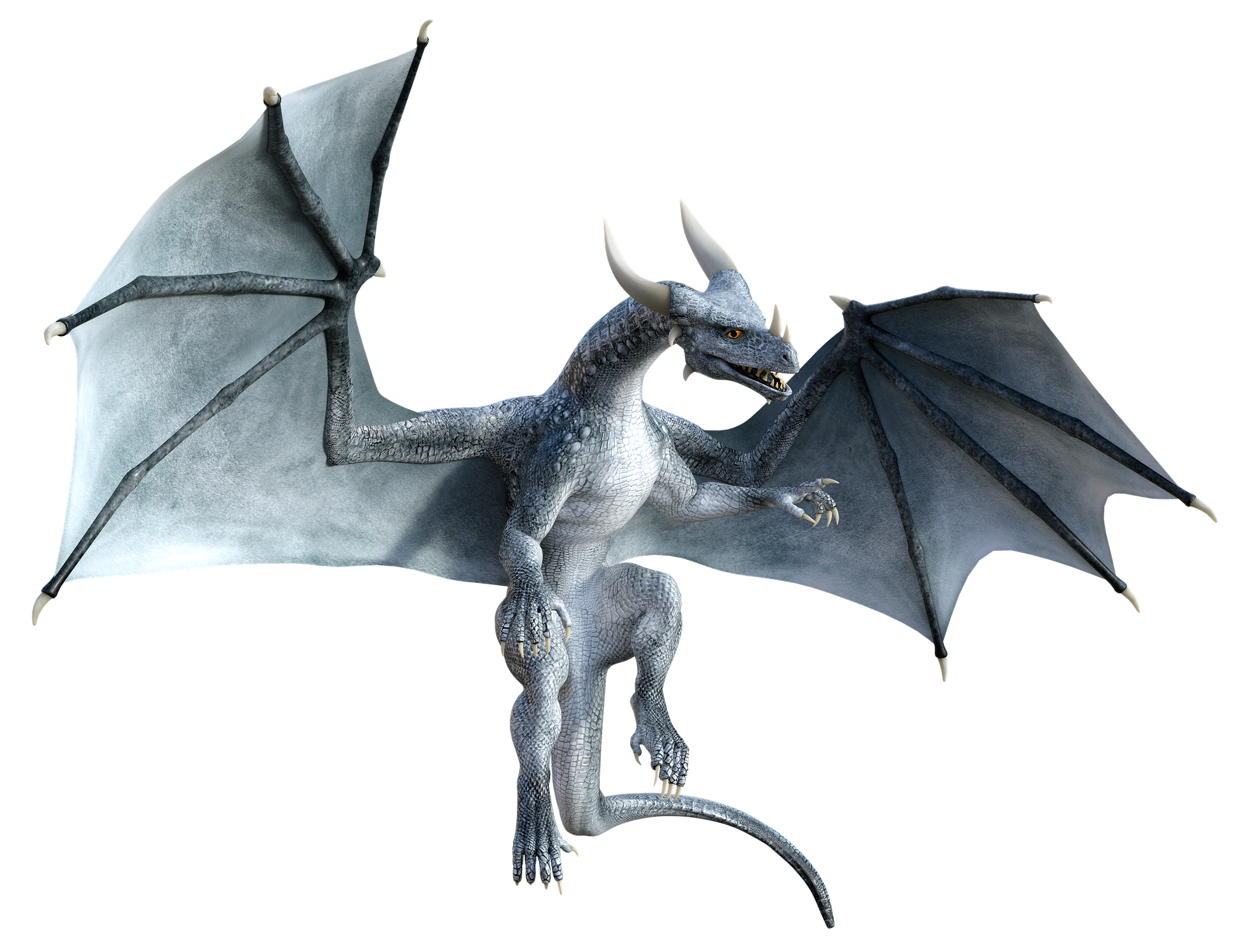 dragon-4538392_1920.png