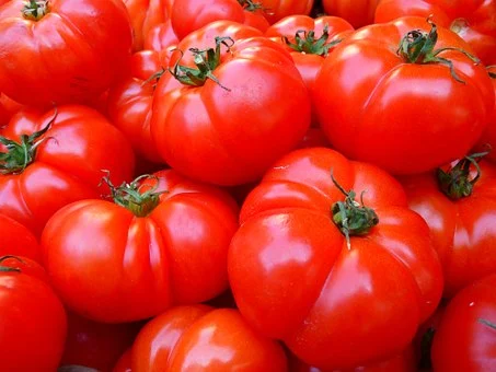 tomatoes-5356__340.webp