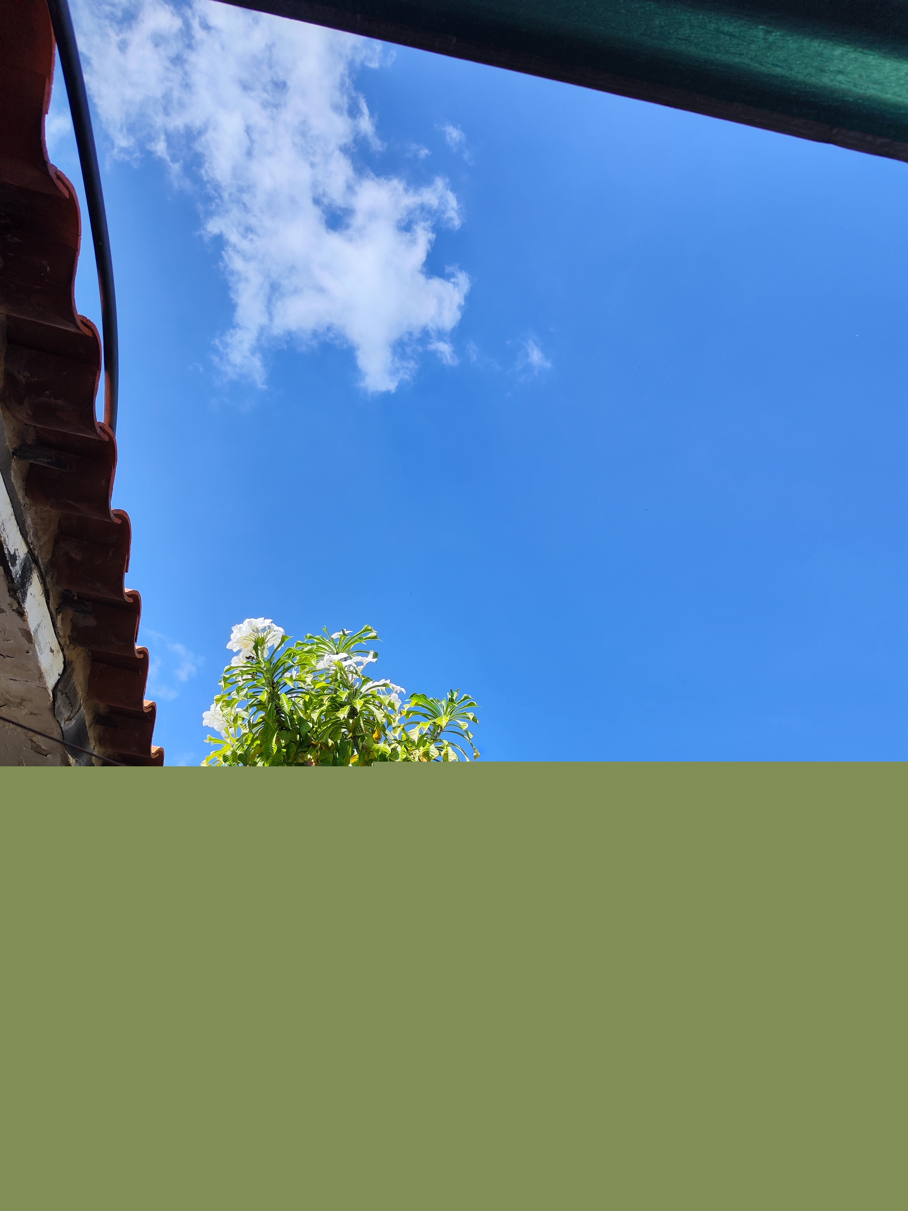 IMG_20240102_104615.jpg