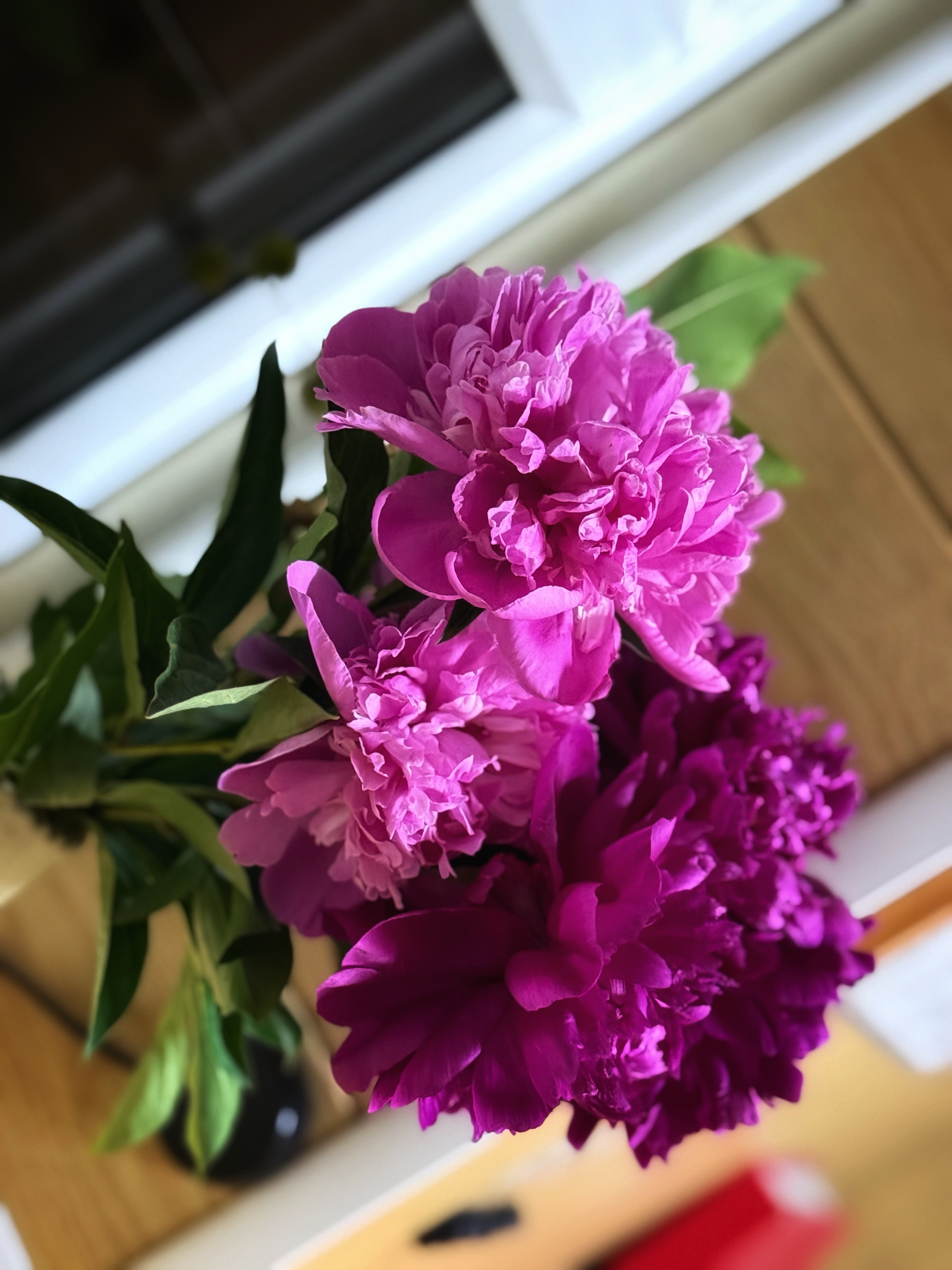 IMG_3387.jpeg