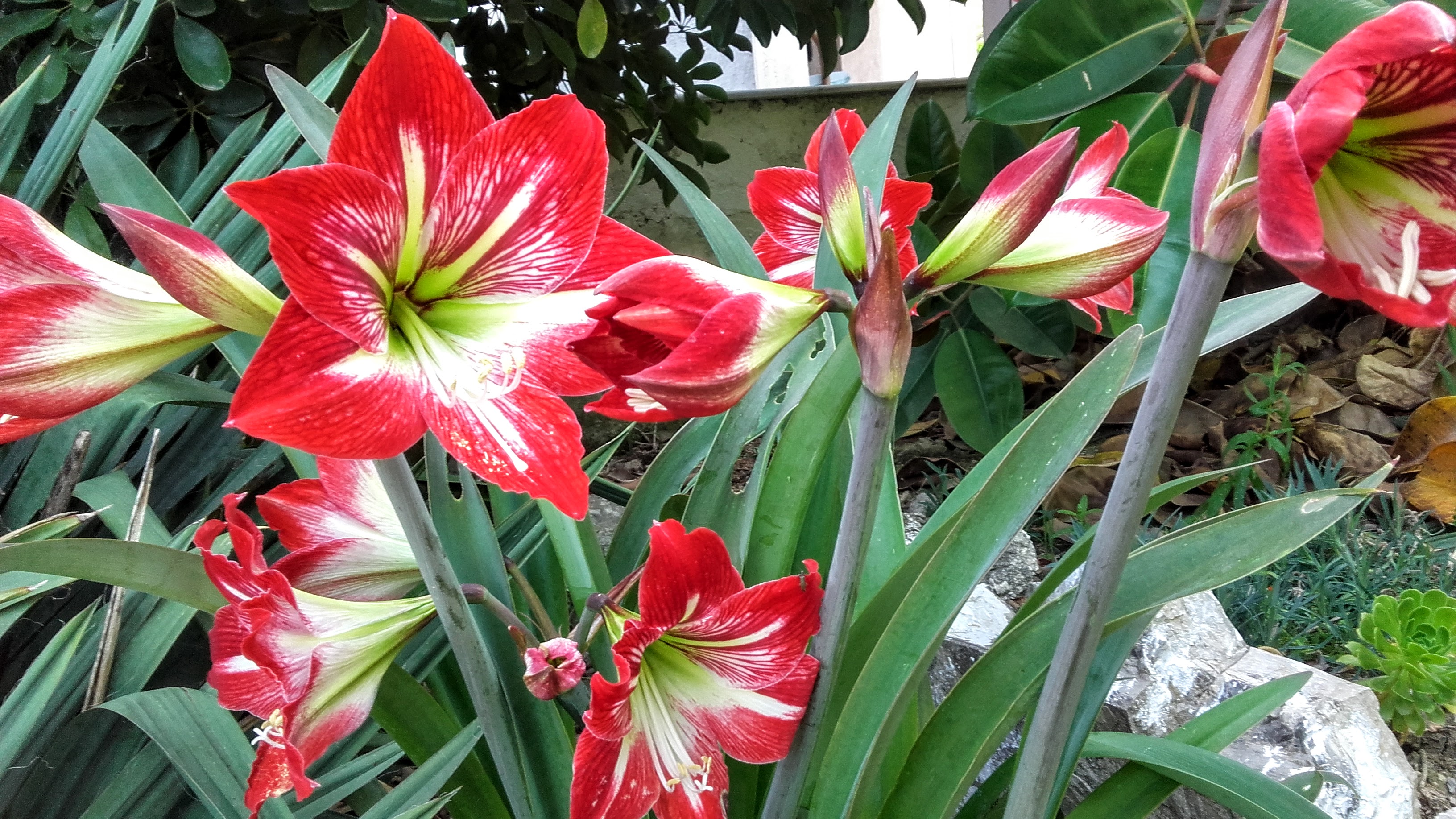 20210524_095405 (1).jpg