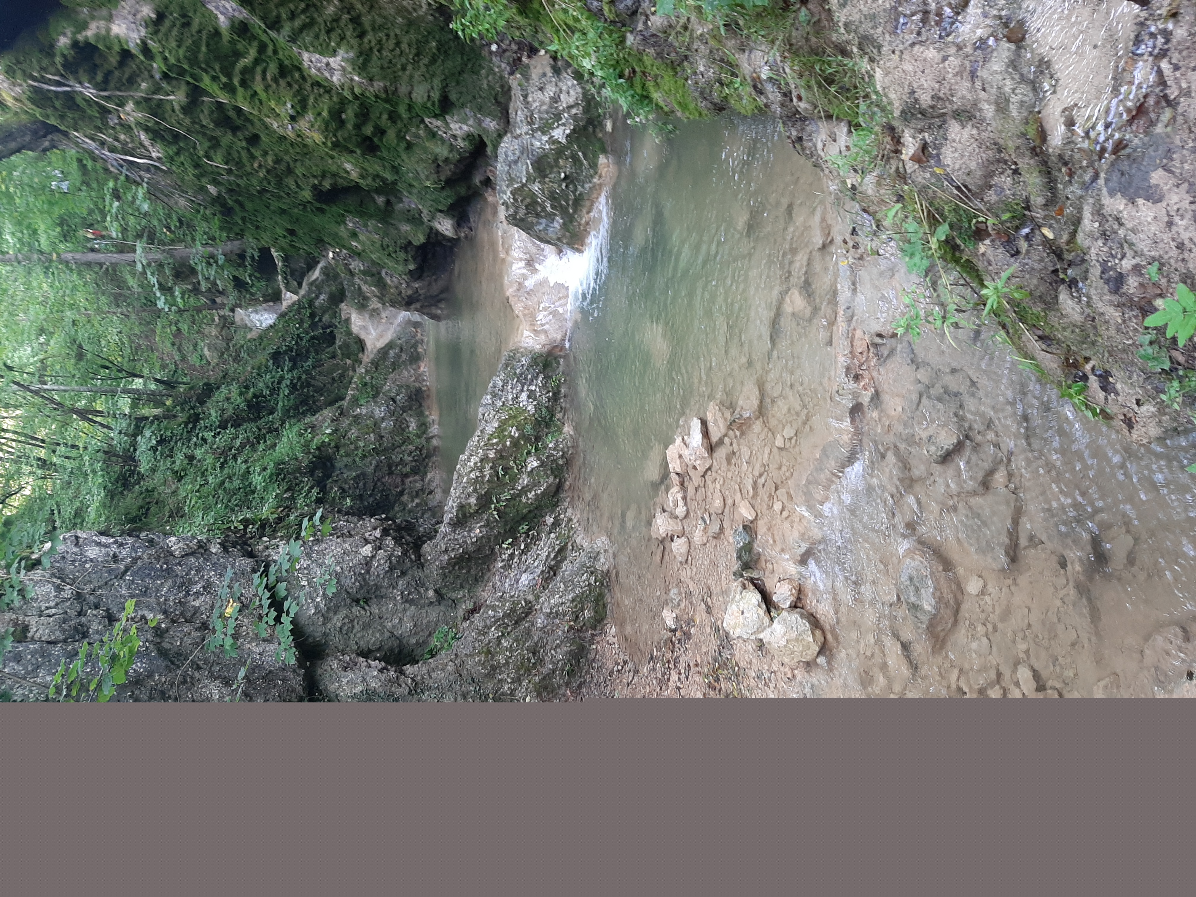 20200816_163833.jpg