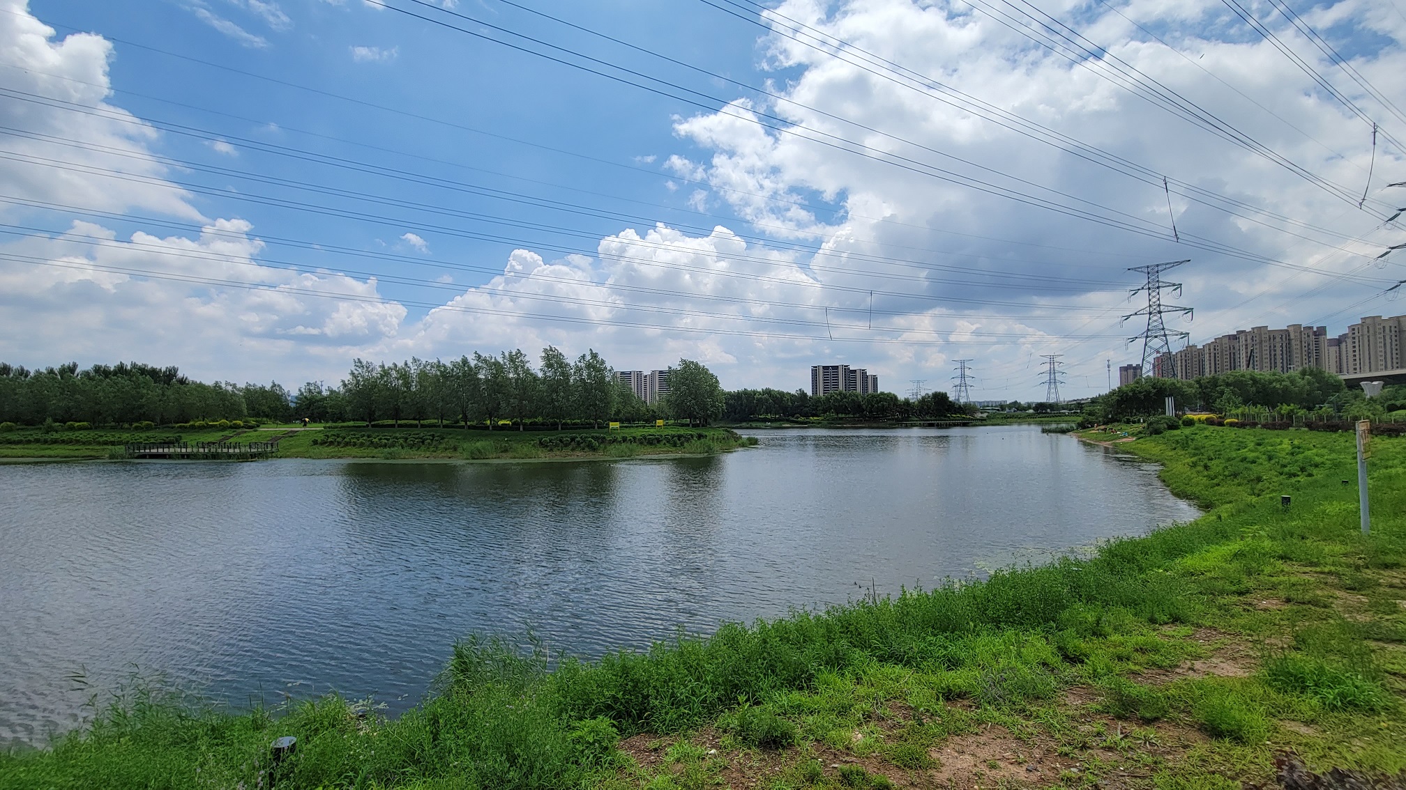 20230711_115439.jpg