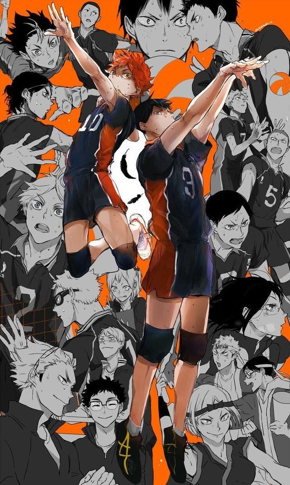 haikyuu.jpg