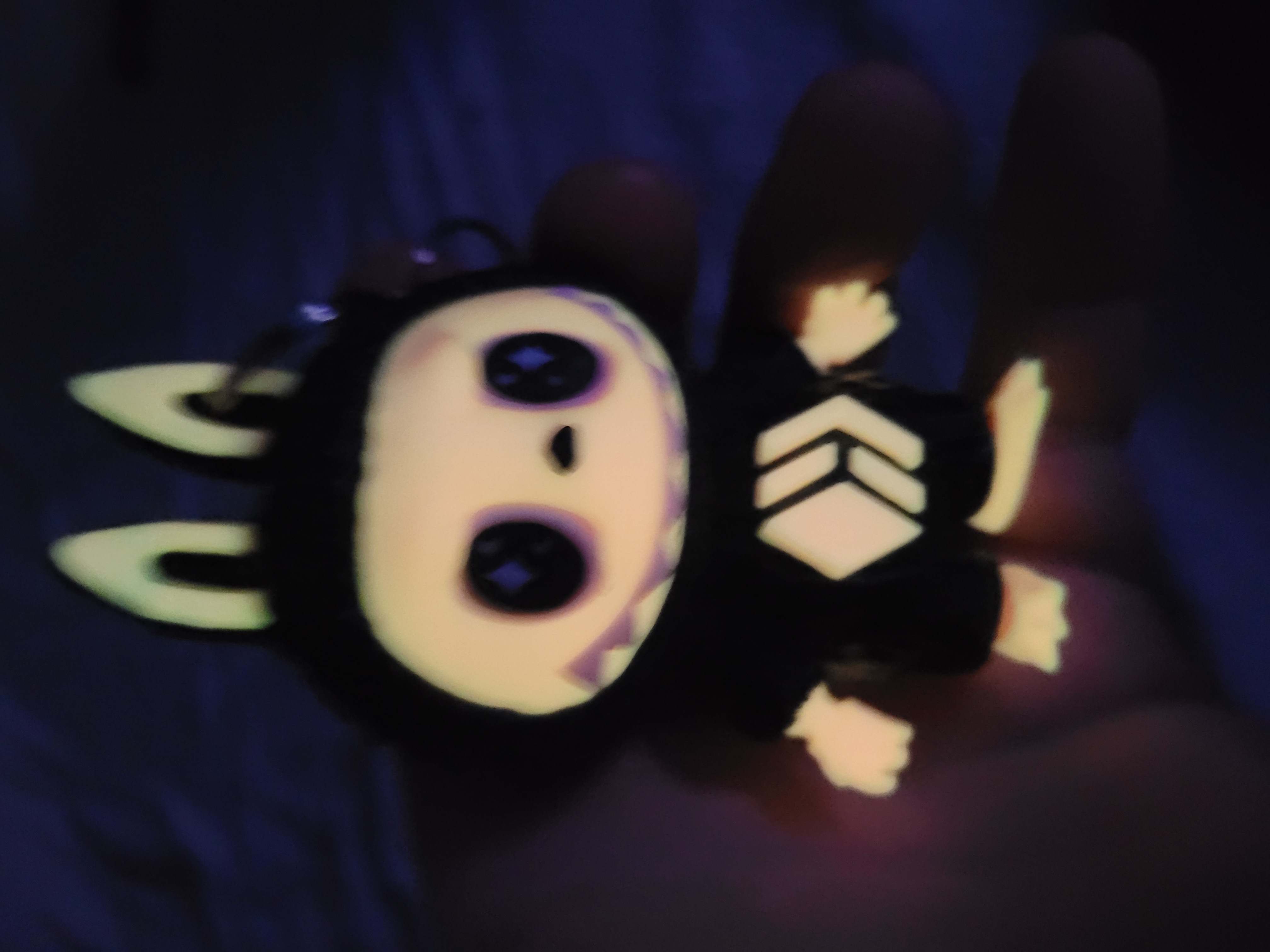 20250724_201457.jpg