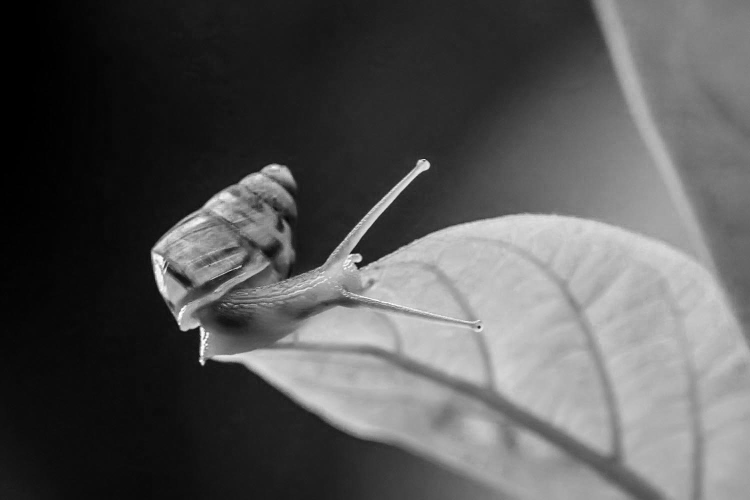 IMG_1277+.jpg