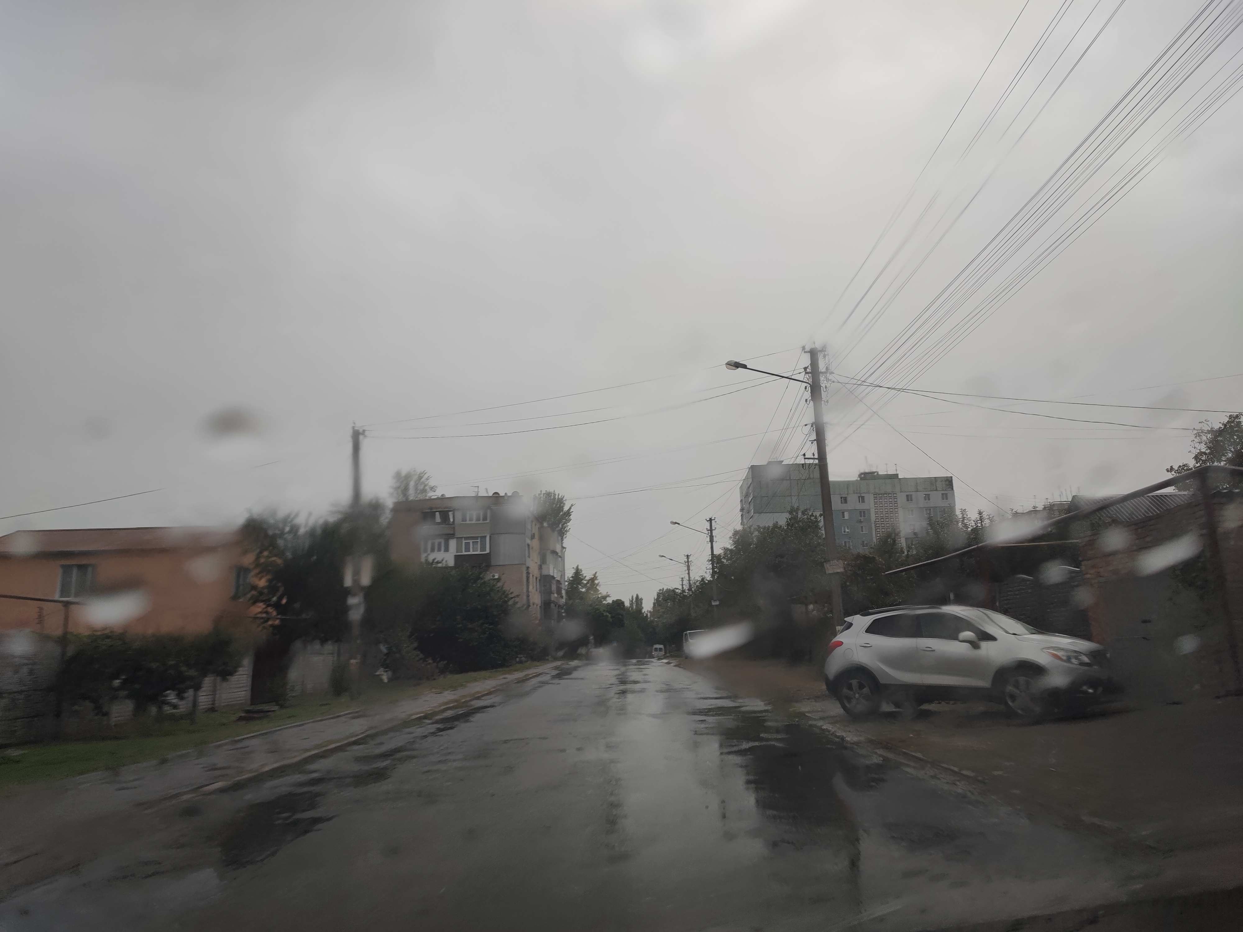 1000300942.jpg