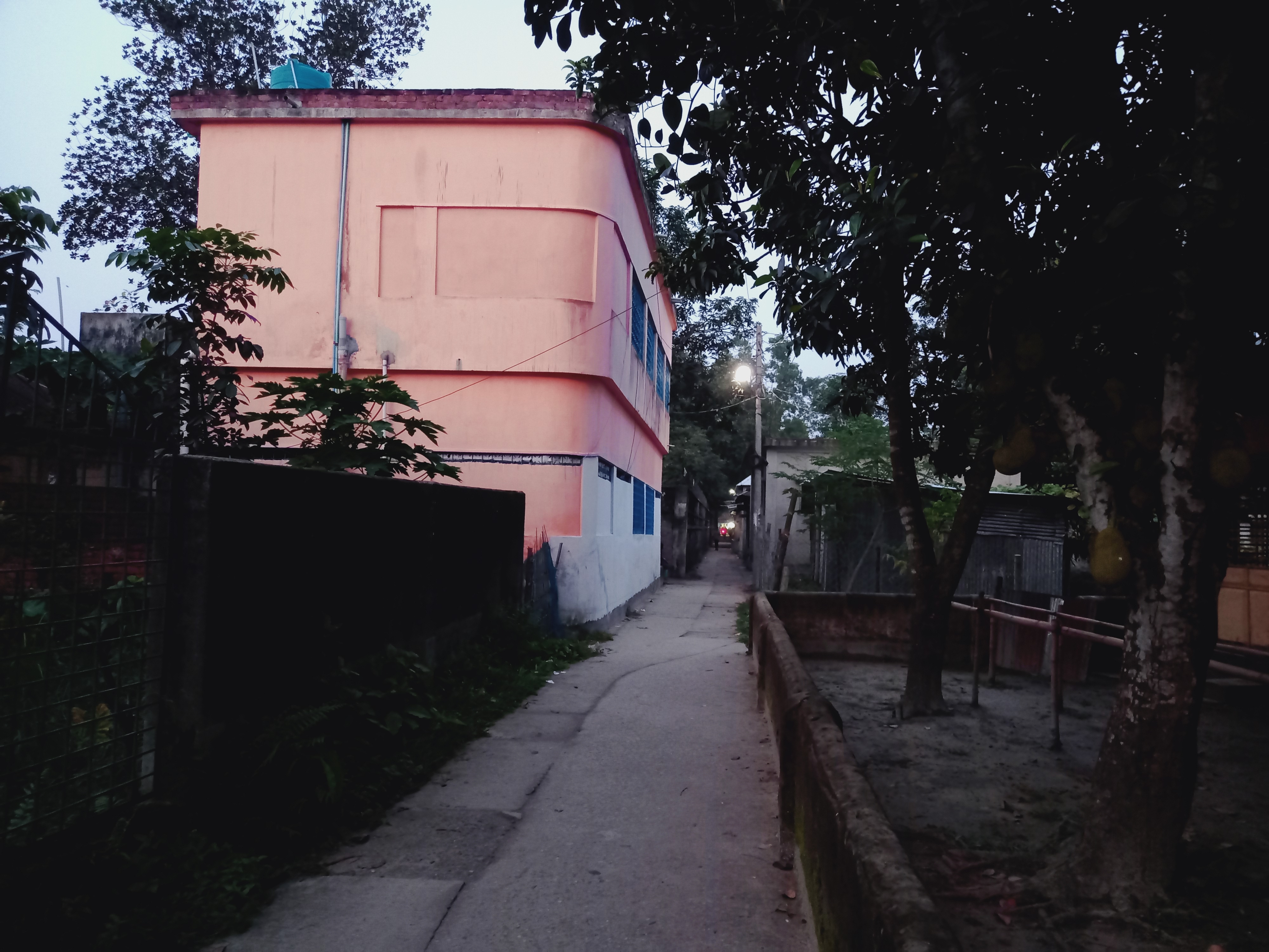 20250604_190435.jpg