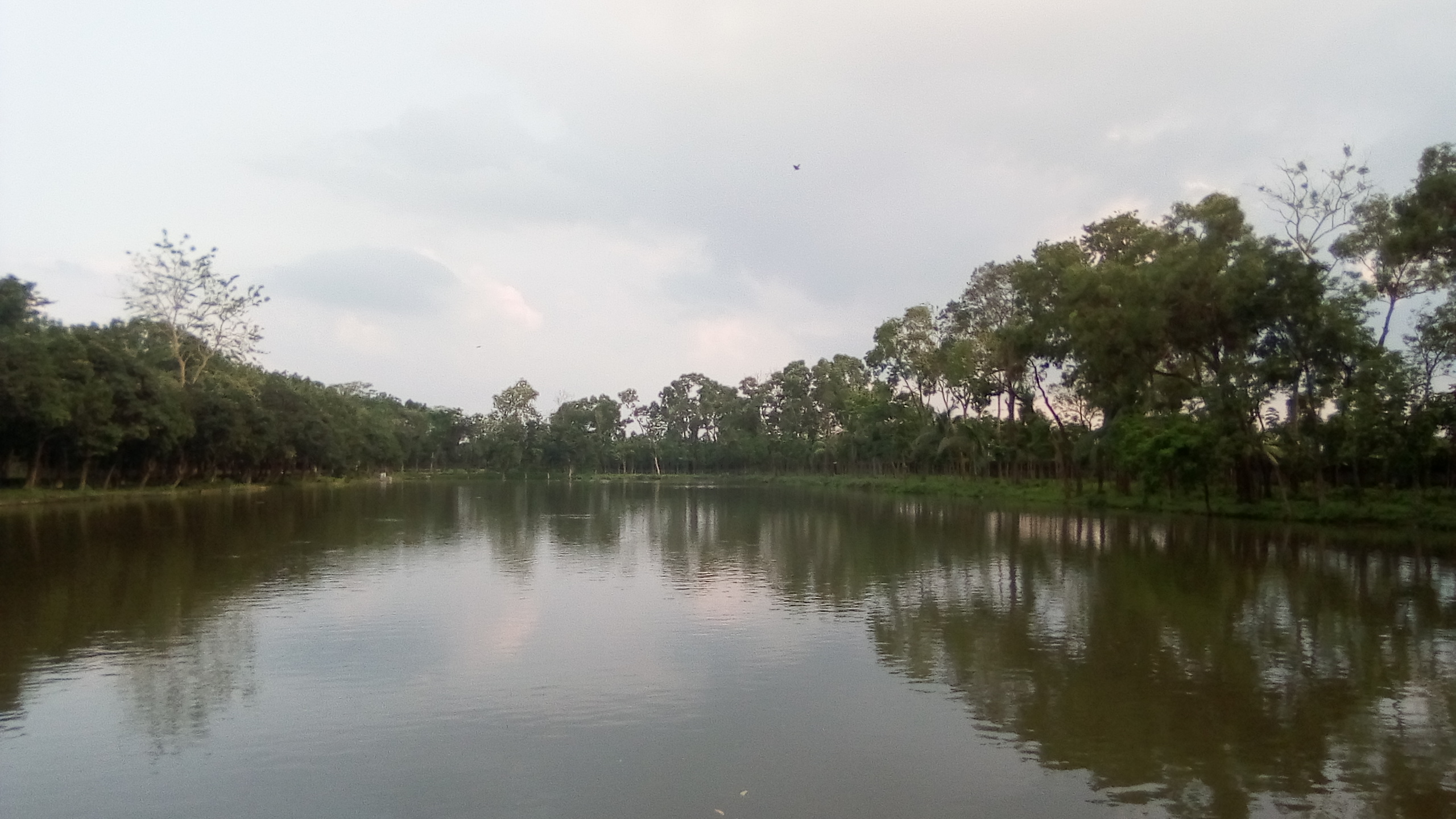 IMG_20200606_172432.jpg