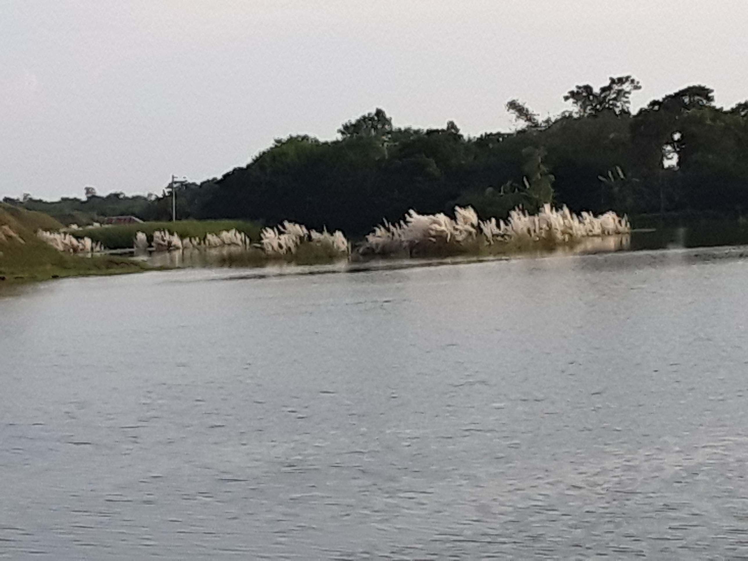20191004_162045.jpg