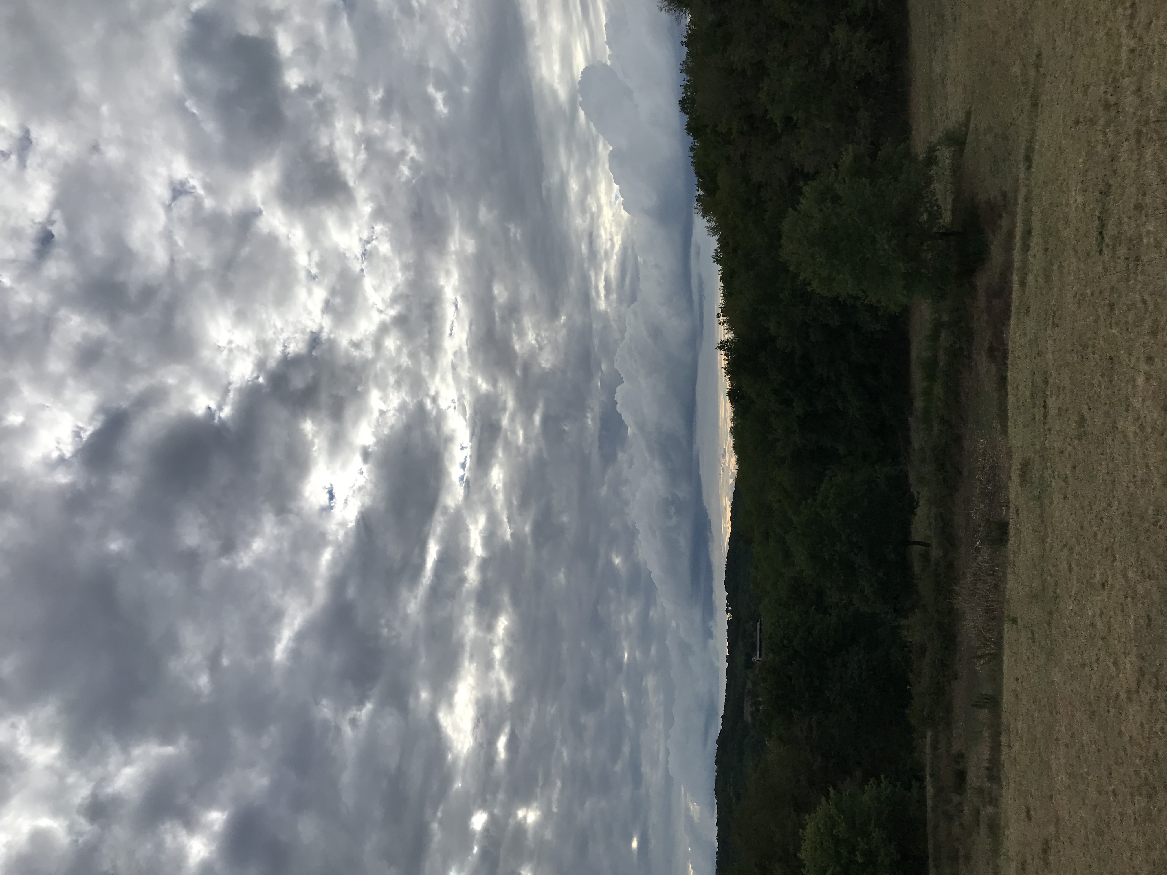 IMG_7513.jpeg