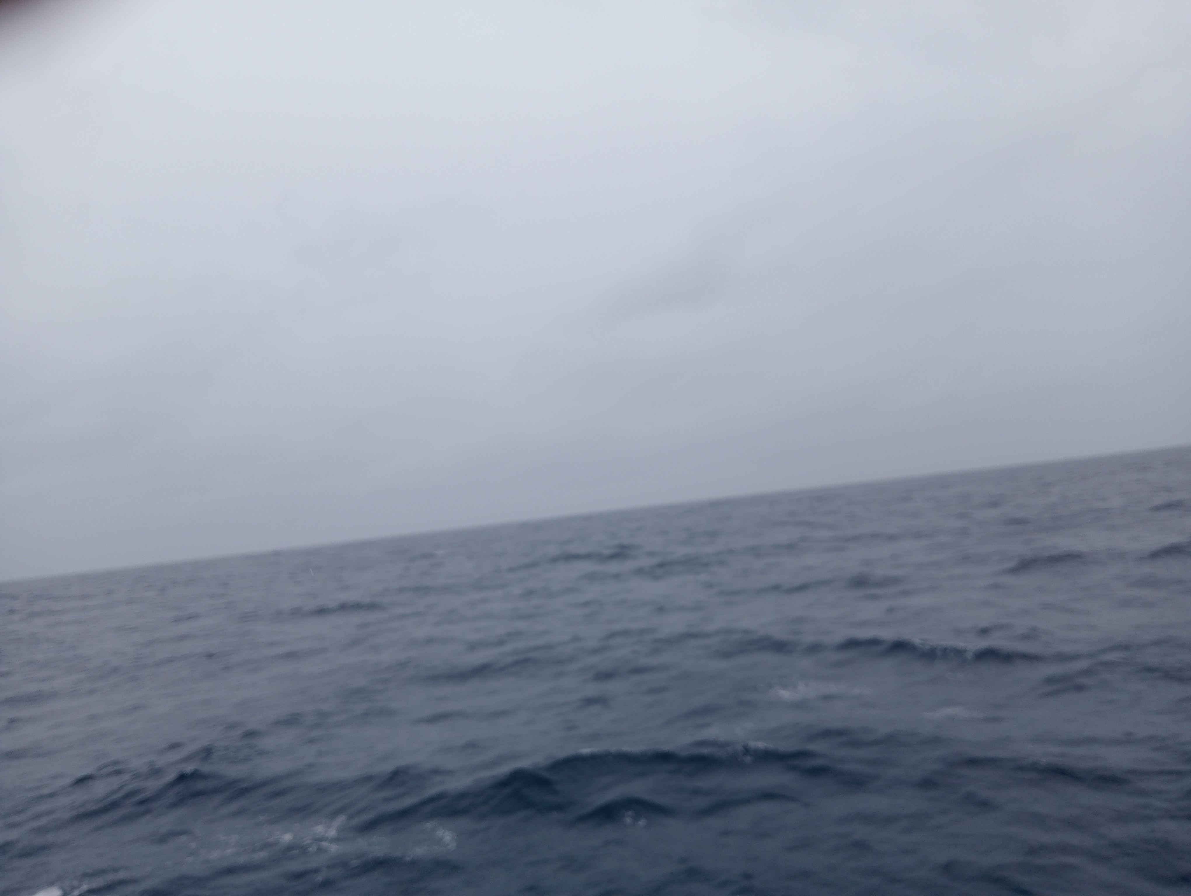IMG20250714104923.jpg