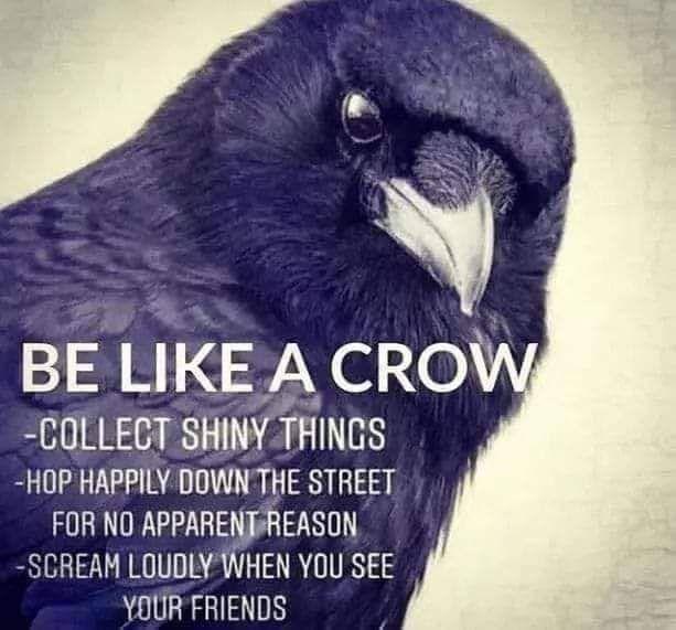 like-a-crow.jpg
